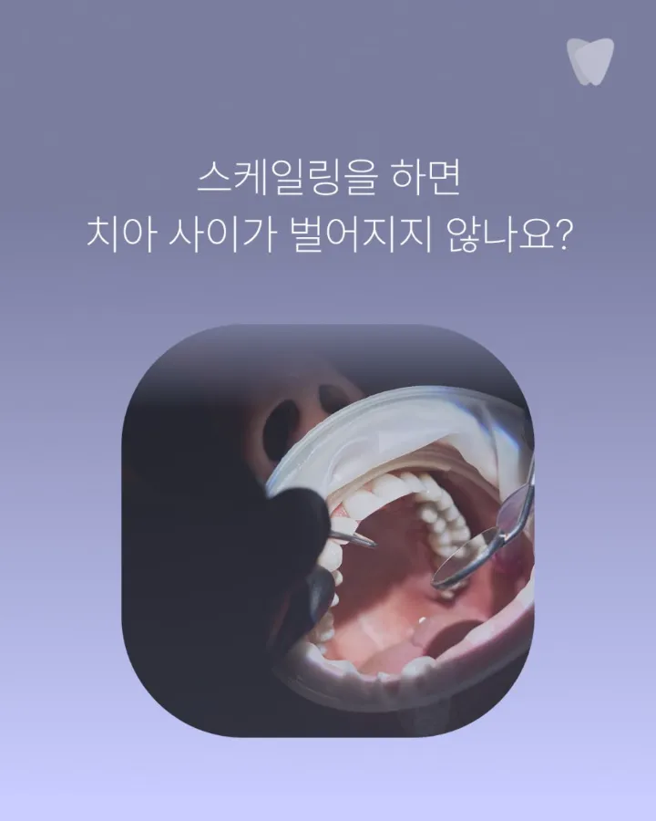 이미지 카드 · 예방은 평균이 아니라, 각자의 속도 입니다.