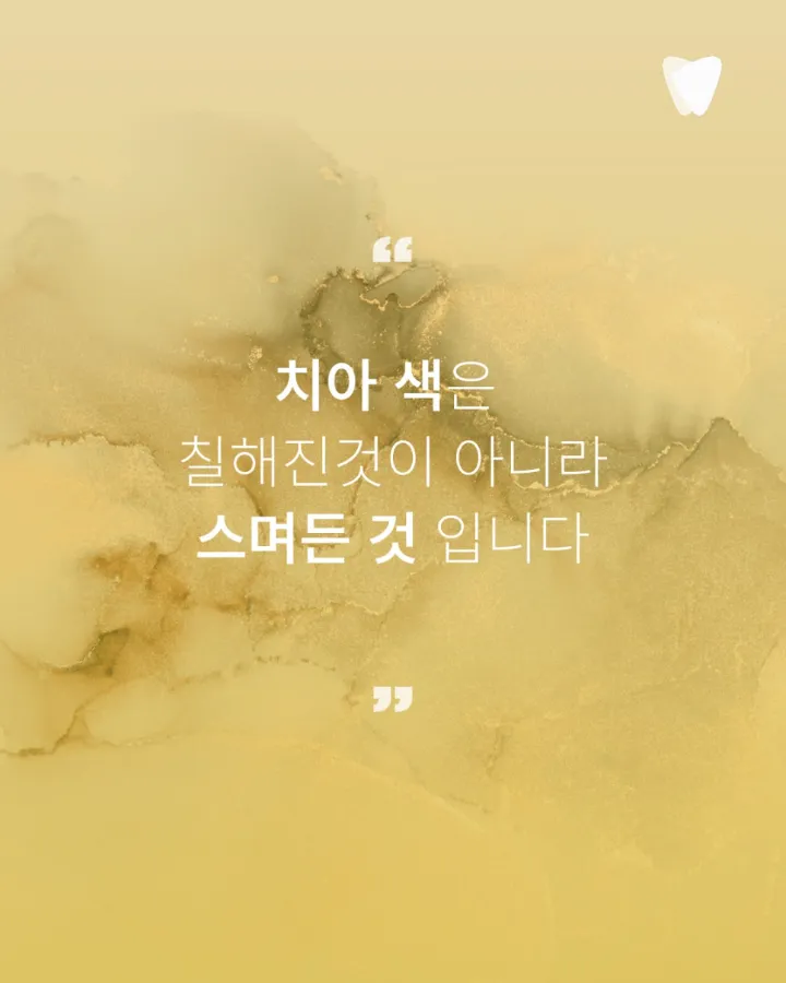 이미지 카드 · 치아색은 생각보다 많은 이야기를 품고 있습니다.
