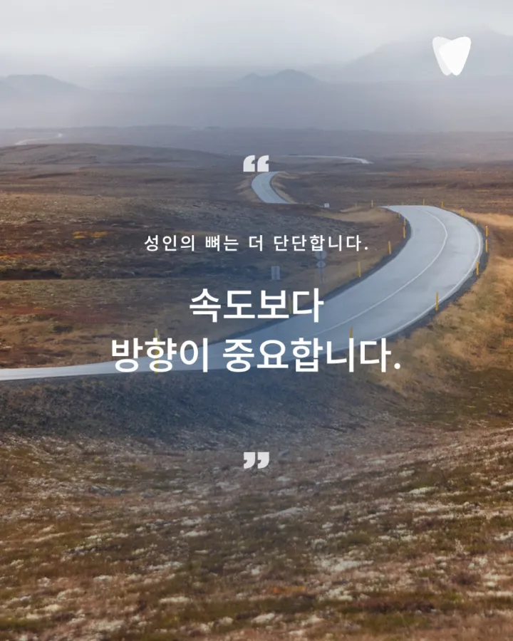 이미지 카드 · 늦은 시작이 아닙니다 — 치아 교정은 지금 이 치아를 20년 더 쓰기 위한 선택