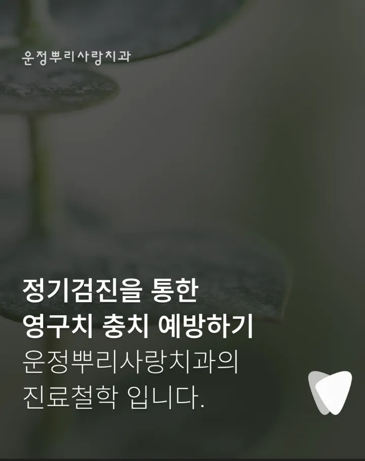 이미지 카드 · 입학 후 첫 검진이, 아이 평생 치아의 첫 페이지입니다