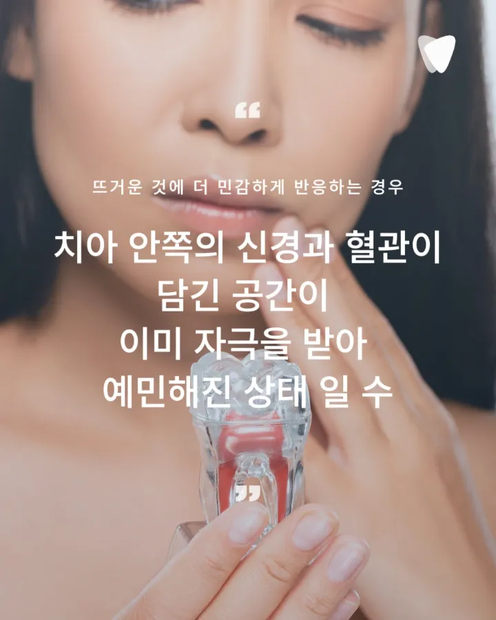 이미지 카드 · 뜨거운 음식에 시린 치아, 자극이 사라진 뒤에도 남는 불편함을 살피는 이유