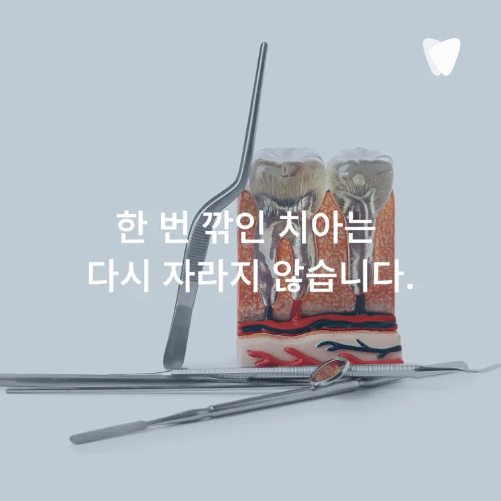 이미지 카드 · 뜨거운 음식에 시린 치아, 자극이 사라진 뒤에도 남는 불편함을 살피는 이유