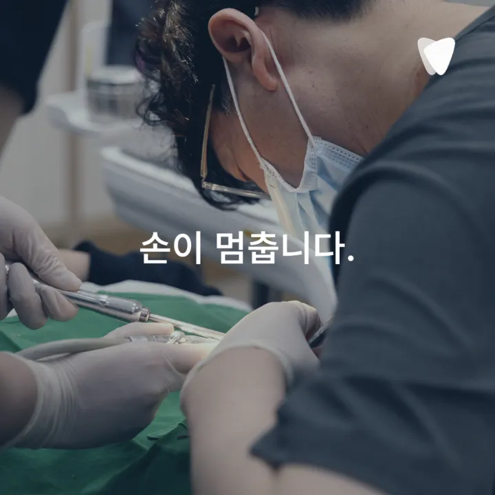 이미지 카드 · 사랑니 발치, 안 아프면 안 빼도 될까요? 판단 기준 정리