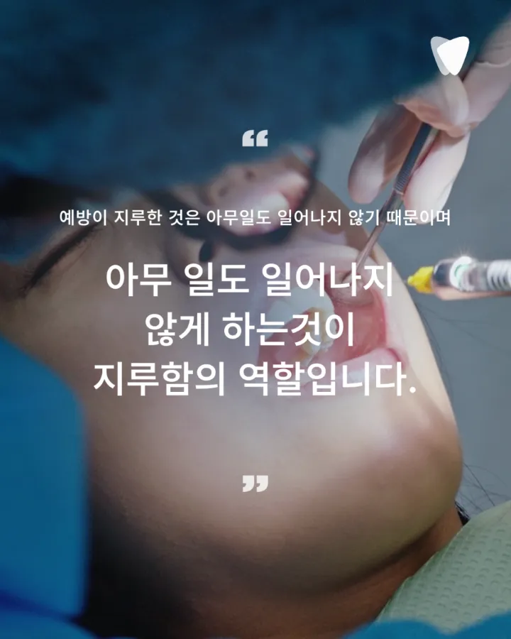 이미지 카드 · 임플란트 후 관리, 자연치아와 무엇이 다른가요 — 통증 없어도 확인해야 하는 이유