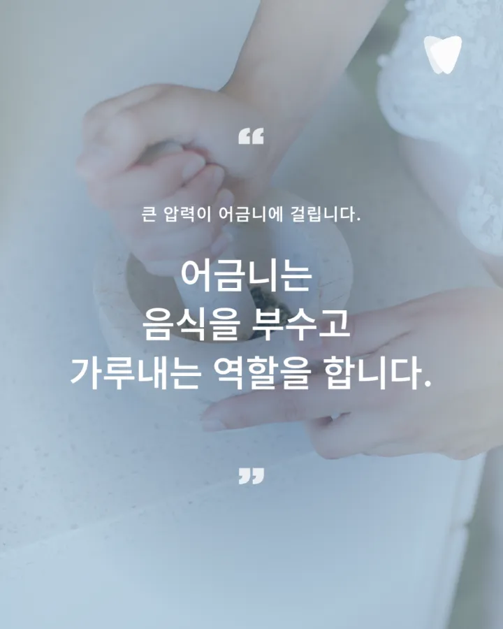 이미지 카드 · 어금니가 씹을 때 아픈 이유, 충치만 원인은 아닙니다