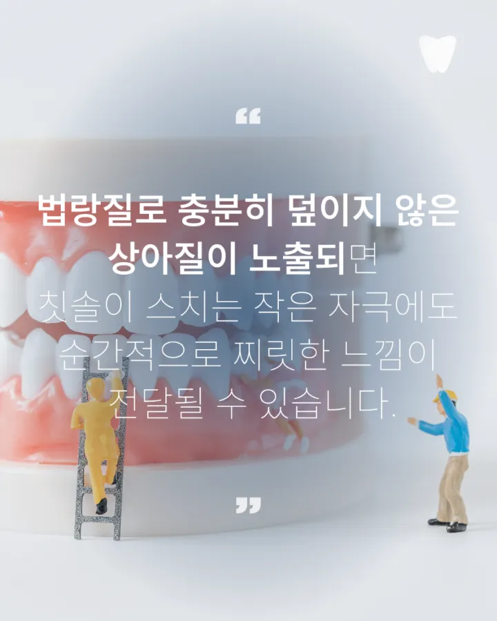 이미지 카드 · 양치 후에도 특정 치아가 시린 느낌이 남는 이유