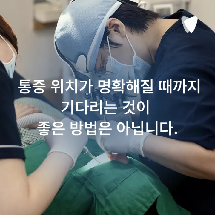 이미지 카드 · 어금니 안쪽이 묵직하게 아픈데 위치가 애매한 이유
