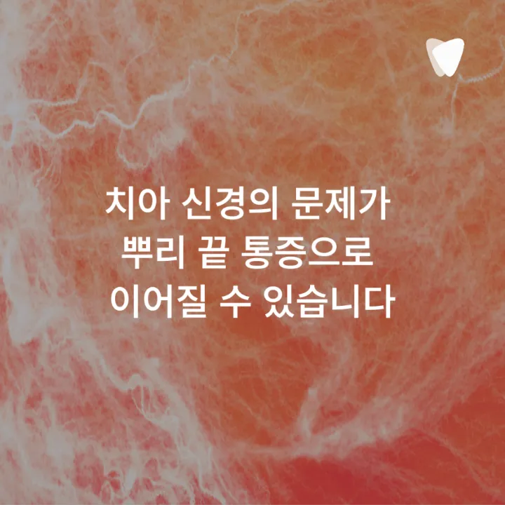 이미지 카드 · 치아를 톡톡 두드렸을 때 아픈 이유, 뿌리 주변 염증을 살피는 이유