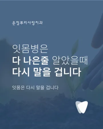 잇몸병은 왜 재발할까? 치료보다 중요한 것, 잇몸을 오래 쓰는 설계