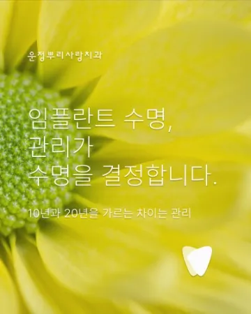 운정 뿌리사랑치과 임플란트 철학 — 심는 날이 시작인 이유